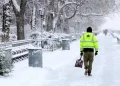 Snow storm blankets New York City, disrupting holiday travel | Muscat Daily| Oman News |Business