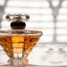 Arabian Oud: The scent of timeless allure