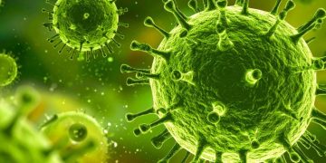 Health alerts issued as India battles nipah virus outbreak