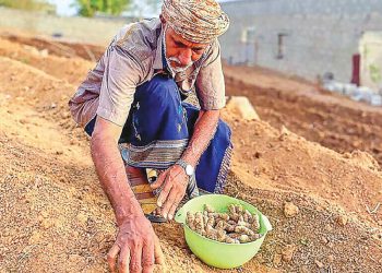 Nakheel, MAFWR initiate turmeric procurement to bolster production