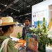 Oman to showcase tourism vision at Fitur 2026 in Madrid – The Arabian Stories News