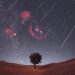 Quadrantids meteor shower to light up Oman’s skies – The Arabian Stories News