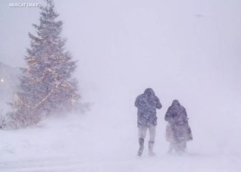 Storm Johannes leaves trail of destruction across Sweden