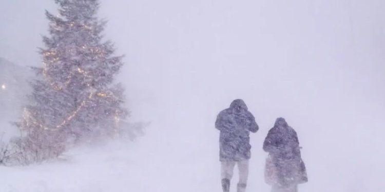 Storm Johannes leaves trail of destruction across Sweden