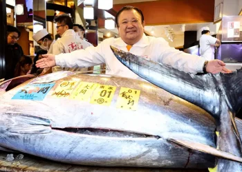 Massive bluefin tuna nets over $3mn at Tokyo auction | Muscat Daily| Oman News |Business