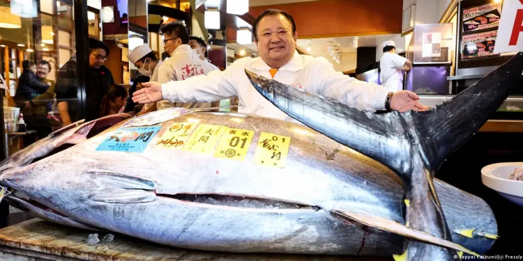 Massive bluefin tuna nets over $3mn at Tokyo auction | Muscat Daily| Oman News |Business