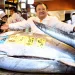 Massive bluefin tuna nets over $3mn at Tokyo auction | Muscat Daily| Oman News |Business