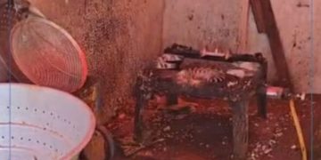 Authorities seize 903kg of samosas in unsanitary conditions