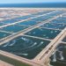 Construction begins on RO23.5mn shrimp farm in Shinas