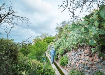 Initiative to revitalise local tourism