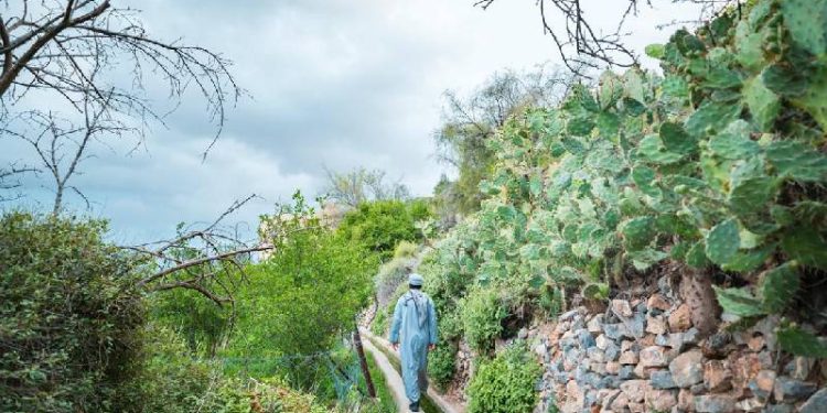 Initiative to revitalise local tourism