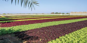 New push to put Omani produce first