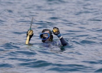 Oman’s agricultural fund invests RO 2.4 million in 13 food security projects