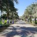 Temporary closure of Qurum and Amerat parks