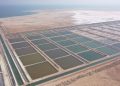 Oman’s aquaculture production surges to 9,240 tons in 2025