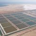 Oman’s aquaculture production surges to 9,240 tons in 2025