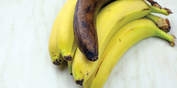 Natural oils extend banana shelf life: SQU study