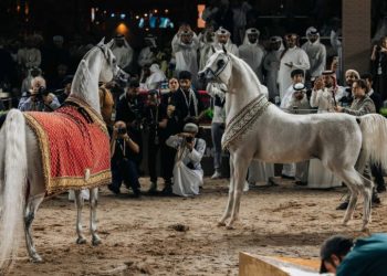 Al Mouj Muscat hosts Oman stage of Global Champions Arabians Tour