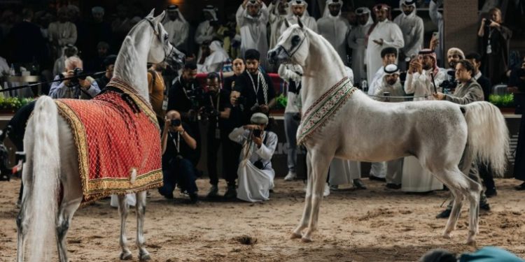 Al Mouj Muscat hosts Oman stage of Global Champions Arabians Tour