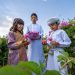 Oman’s Jabal Al Akhdar Rose Festival to begin March 30 in A’Dakhiliyah – The Arabian Stories News